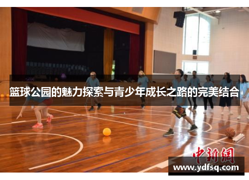 篮球公园的魅力探索与青少年成长之路的完美结合 篮球公园的魅力探索与青少年成长之路的完美结合
