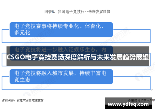 CSGO电子竞技赛场深度解析与未来发展趋势展望