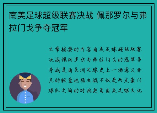 南美足球超级联赛决战 佩那罗尔与弗拉门戈争夺冠军