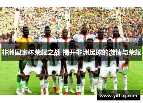 非洲国家杯荣耀之战 揭开非洲足球的激情与荣耀 非洲国家杯荣耀之战 揭开非洲足球的激情与荣耀