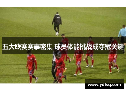 五大联赛赛事密集 球员体能挑战成夺冠关键 五大联赛赛事密集 球员体能挑战成夺冠关键